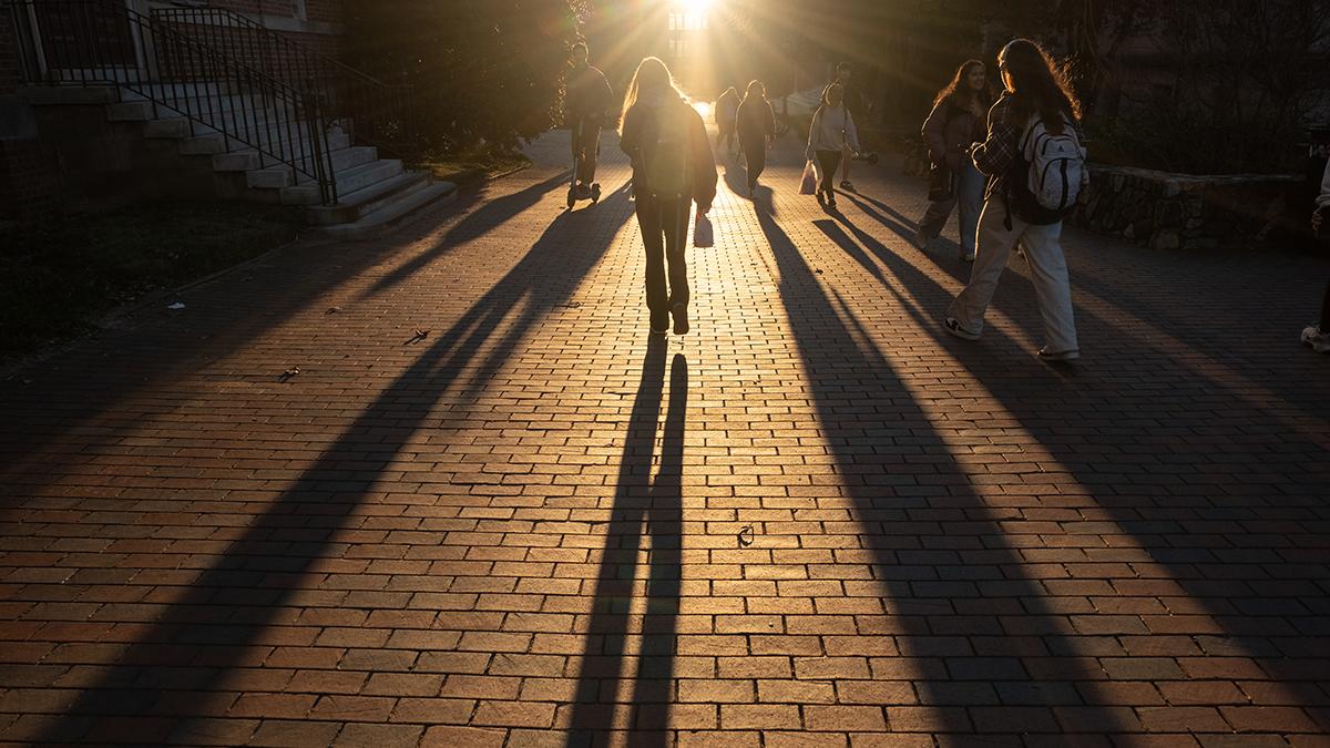 Shadows on campus as students walk along pathways